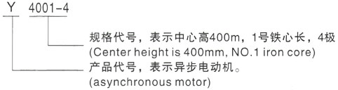 西安泰富西玛Y系列(H355-1000)高压潍城三相异步电机型号说明